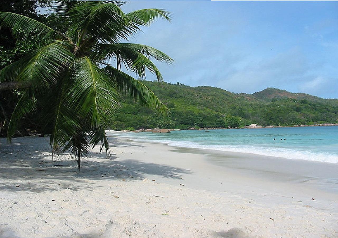 Hidden Paradise At Apto Del Cerro Samana