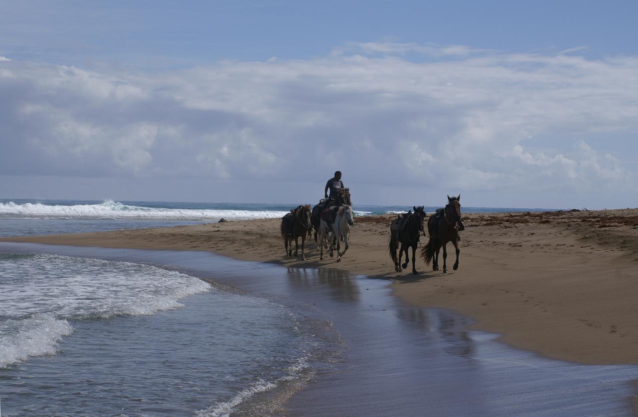 Playa Encuentro * Cabarete