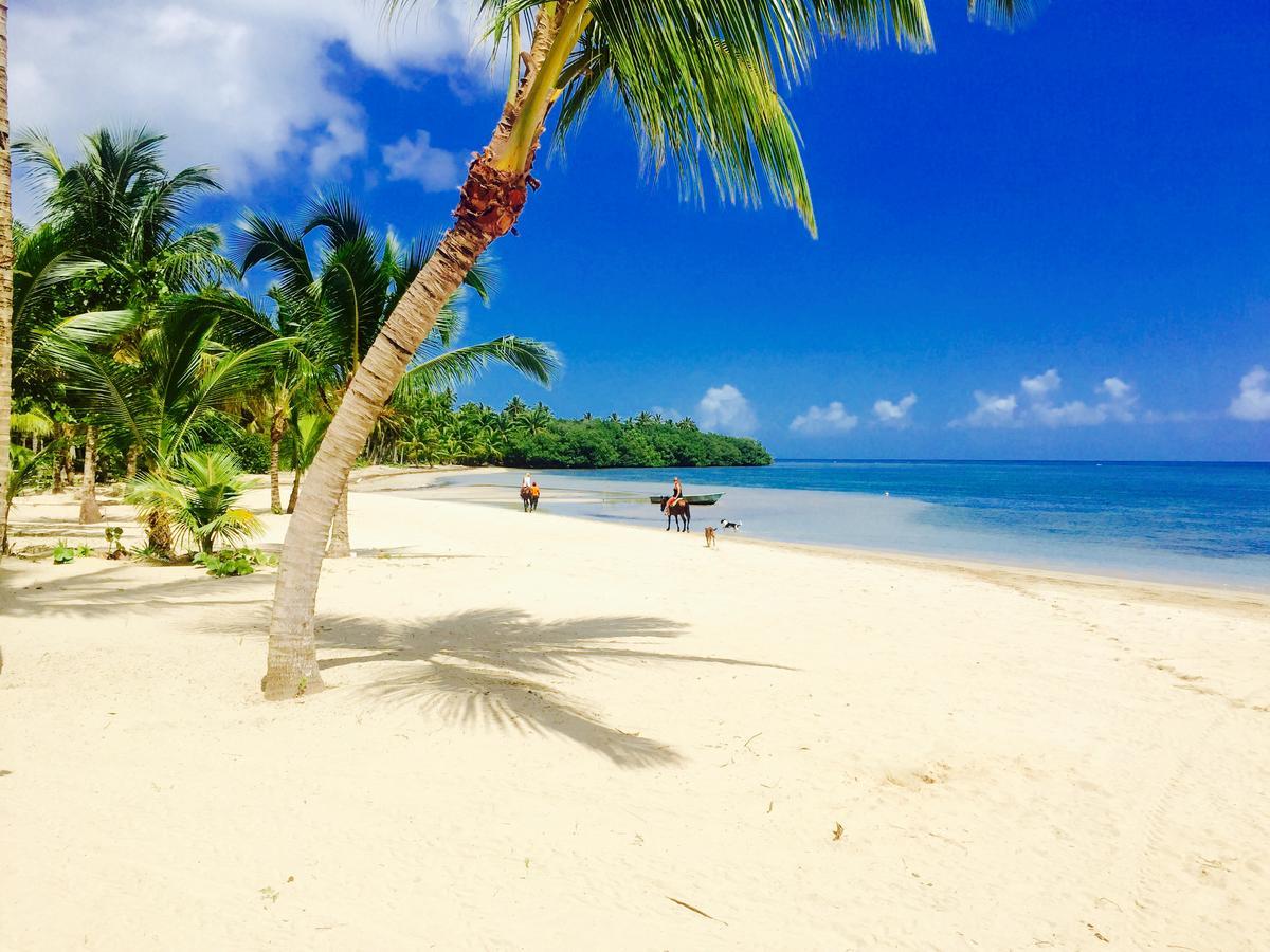 Casa Blanca Las Terrenas * Samana