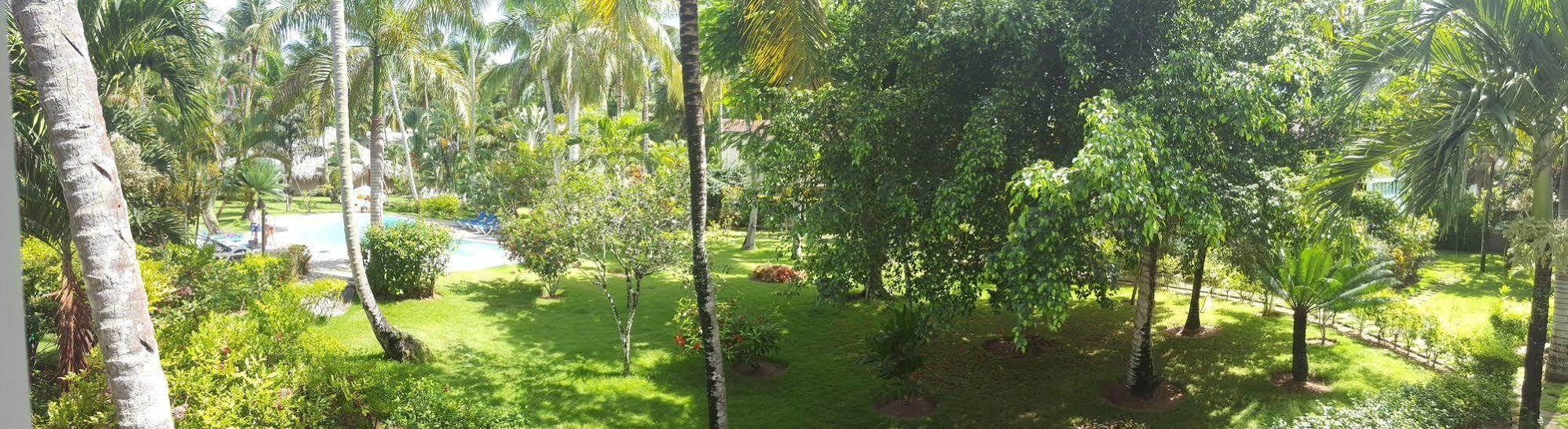 Oasis Terrenas 3*
