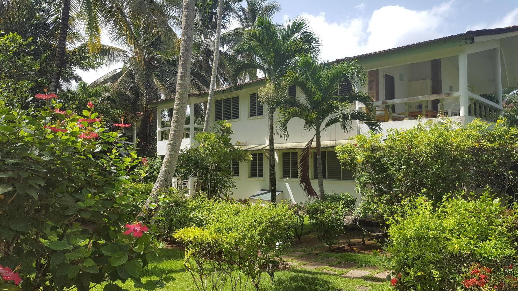 Oasis Terrenas Aparthotel 3*