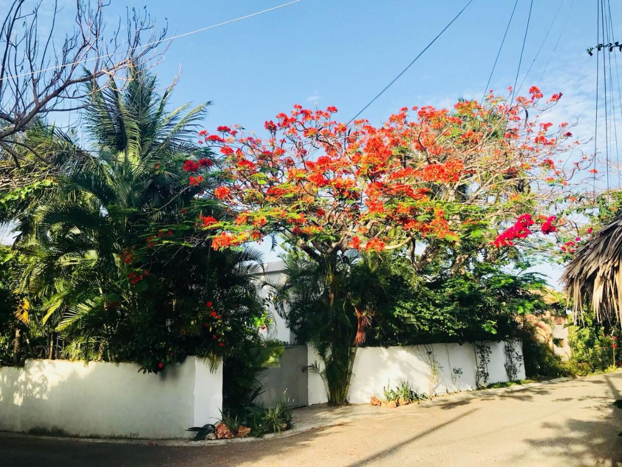 Holiday home Surf Blue Cabarete