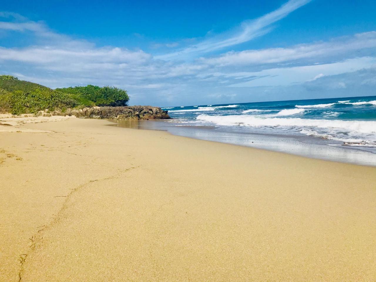 Surf Blue * Cabarete