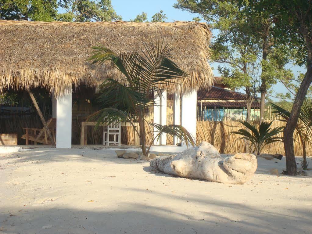 Eco Cayo Arena Beach House - Adults Only Lodge