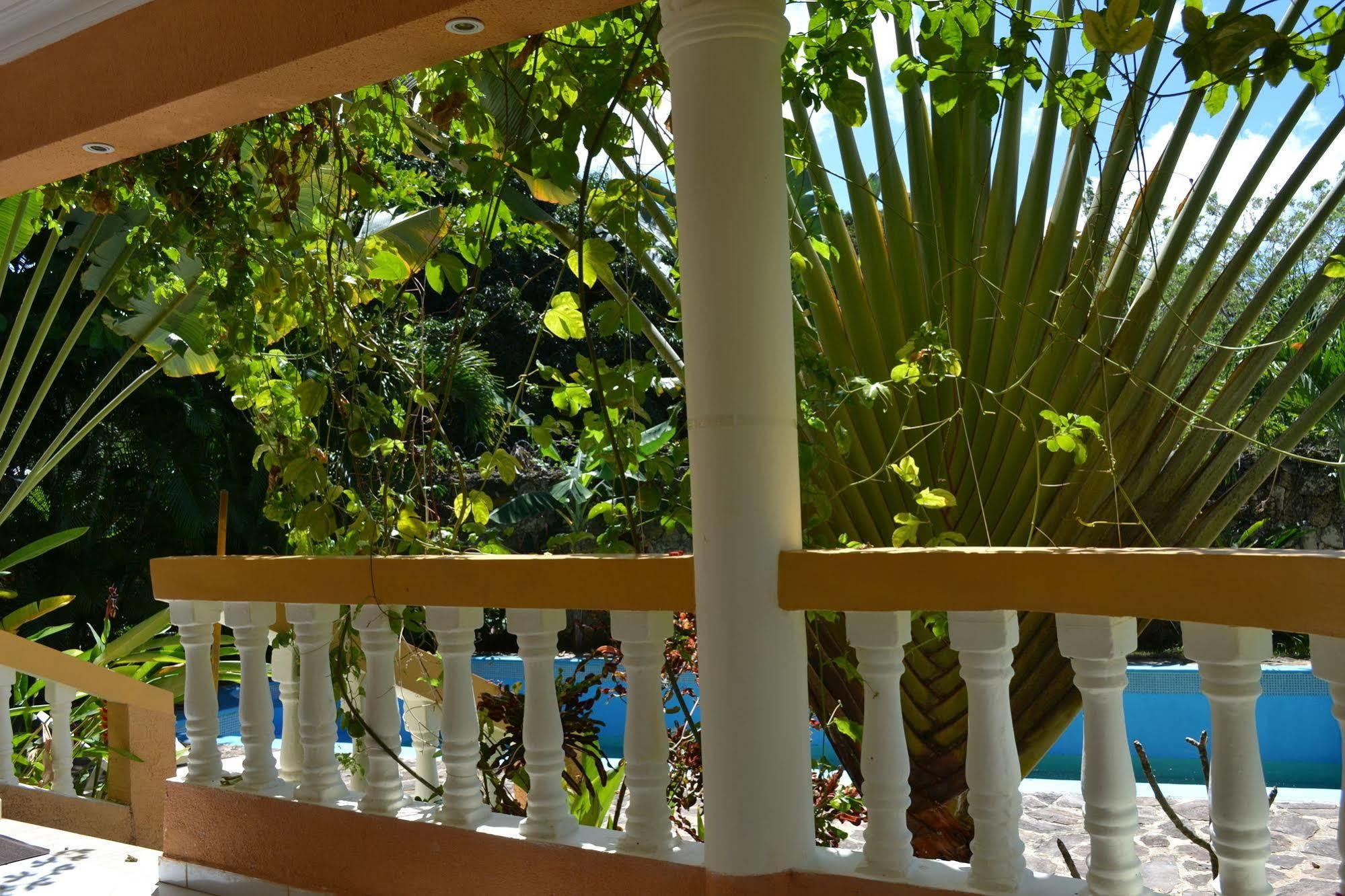 Hotel 4 Bedroom Villa, Private Pool, Security, Ocean View Sosua