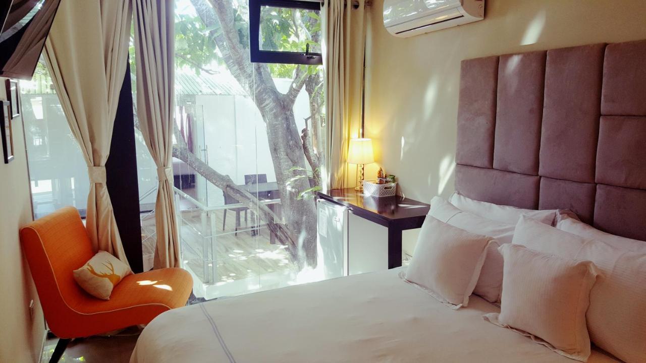 Santa Clara 3* San Fernando de Monte Cristi
