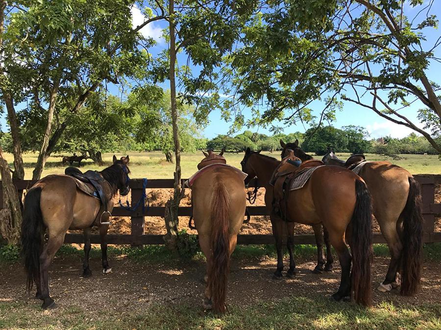 Sea Horse Ranch *