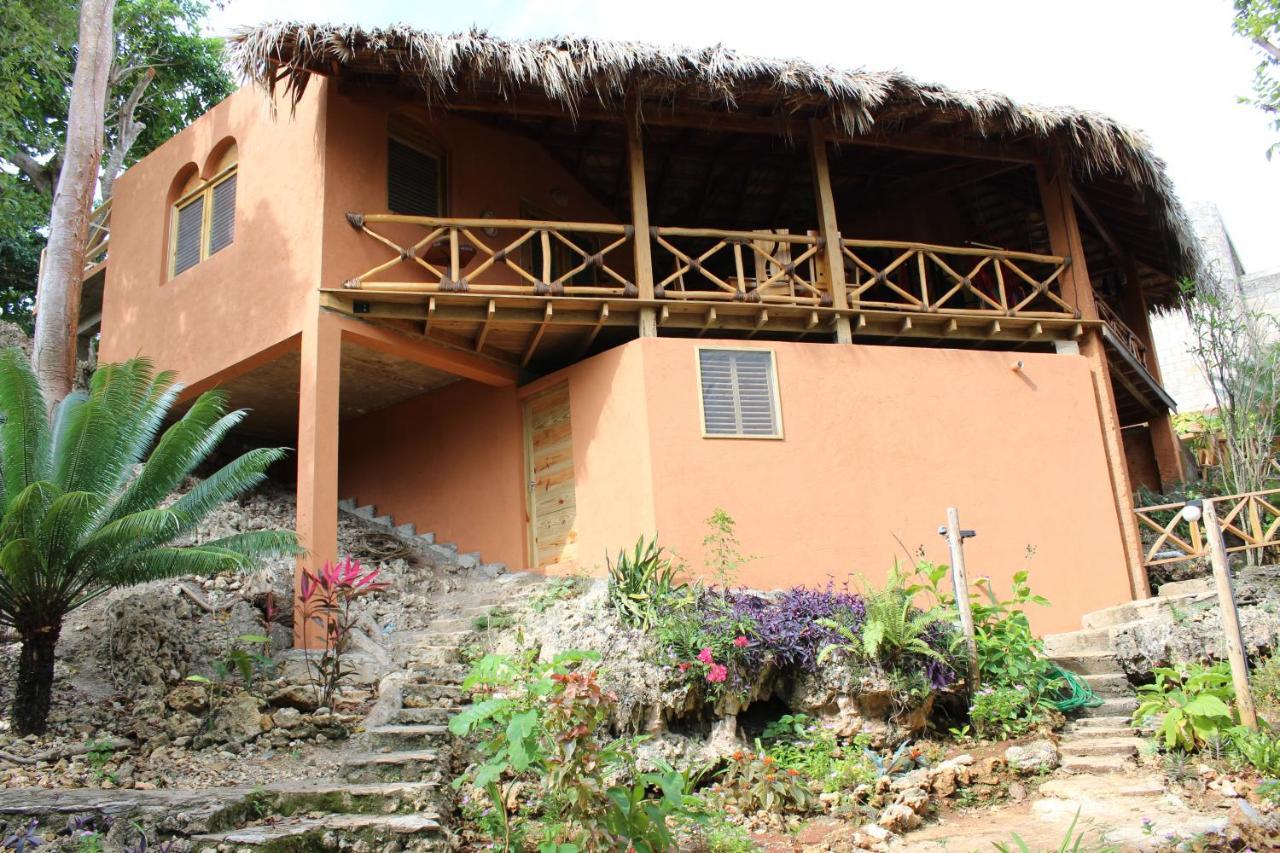 La Casa Del Arbol * Las Galeras
