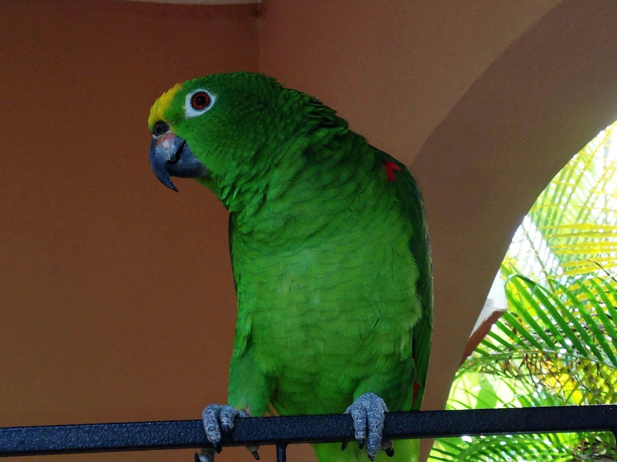 Casa Lily & Coco 2*