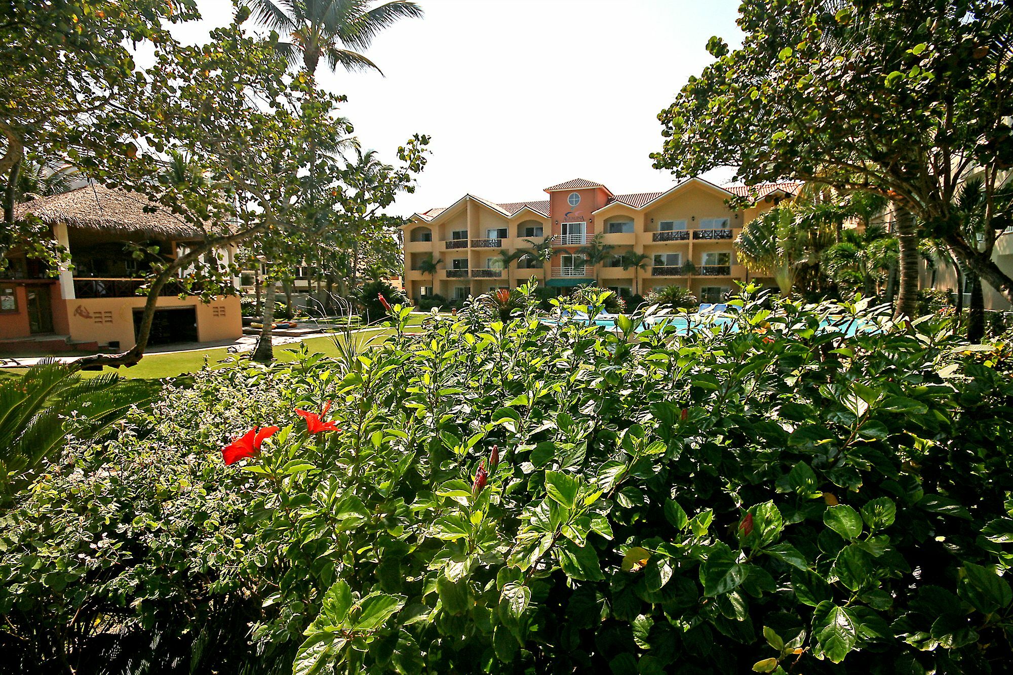 Agualina Kite