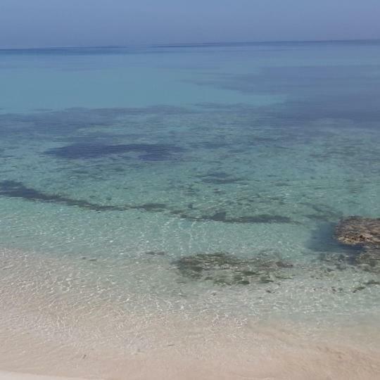Tropic Punta Rucia