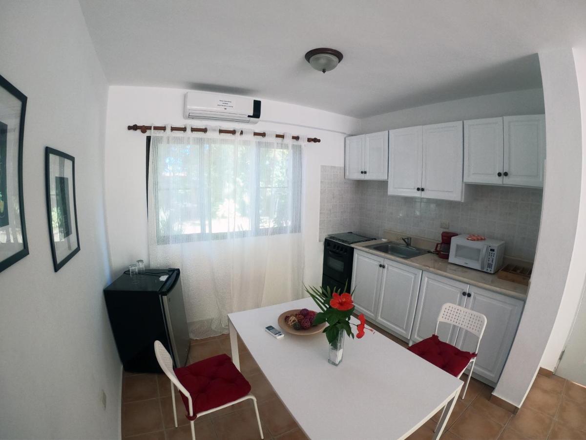 Coral Blanco 3*