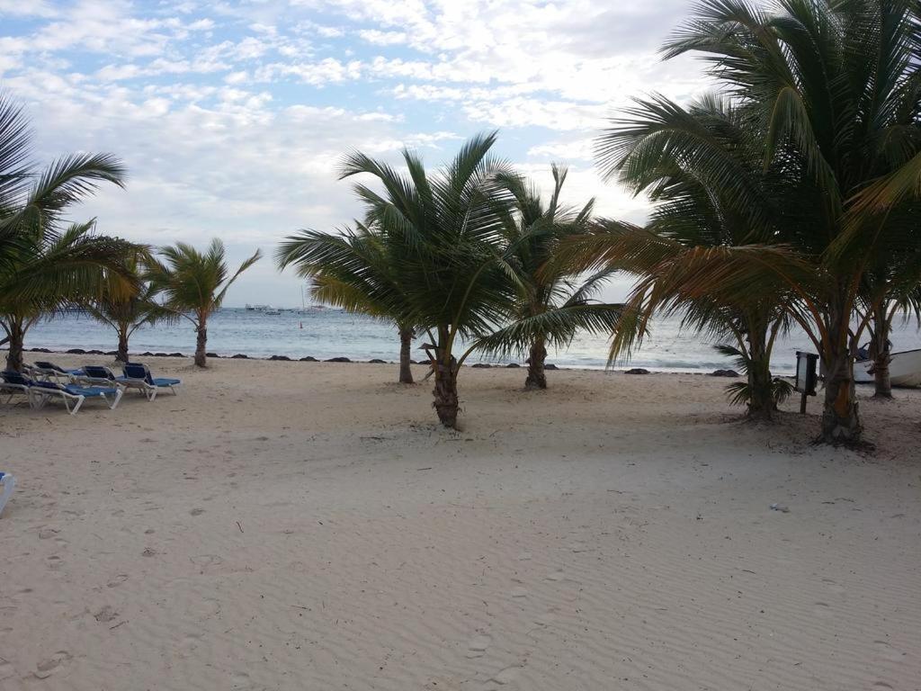 With Fan Use Bavaro Beach,