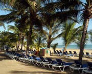 Tropical Clubs