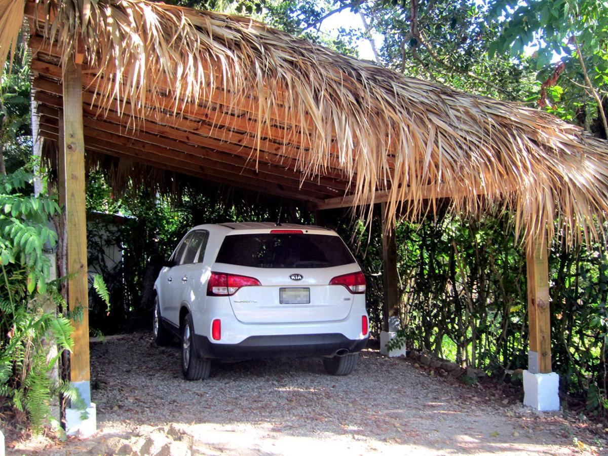 Playa Encuentro Cabarete