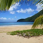 Dominican Tree House Village