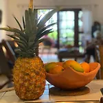 Cabarete Beachfront Condos At Nanny Estate C-5