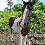 Dreamvilles Ecovillage Las Galeras