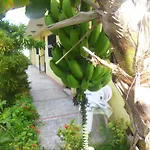 Residencial El Mirador