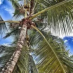 Hotel Caserma La Romana-Bayahibe
