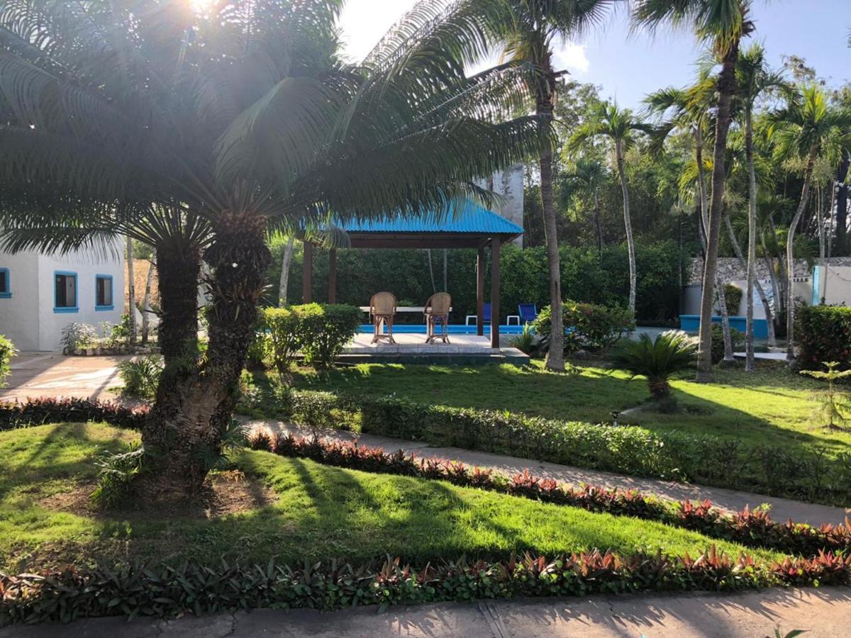 Apartment La Gaviota A3 *