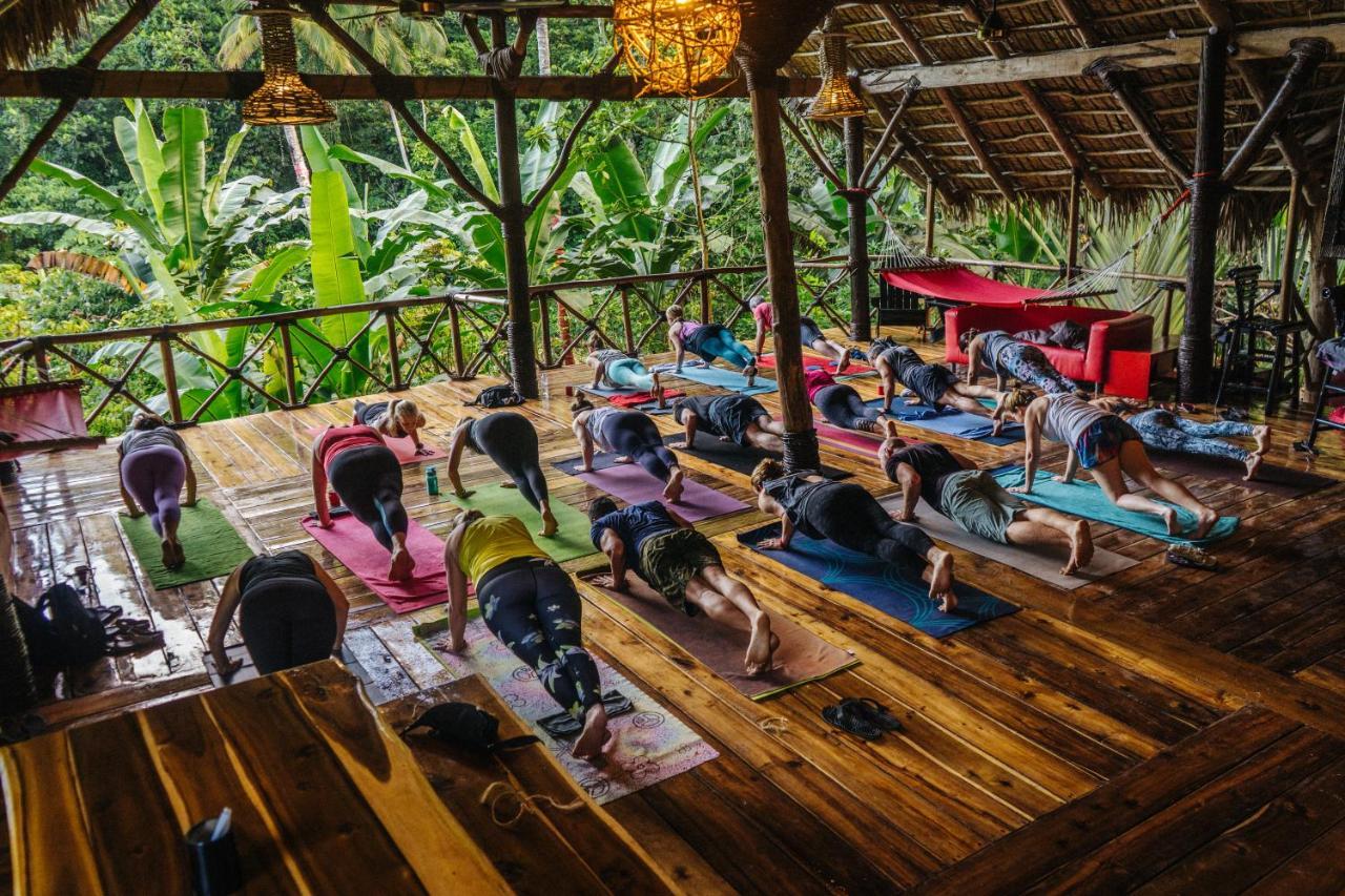 Resort Dominican Tree House Village El Valle