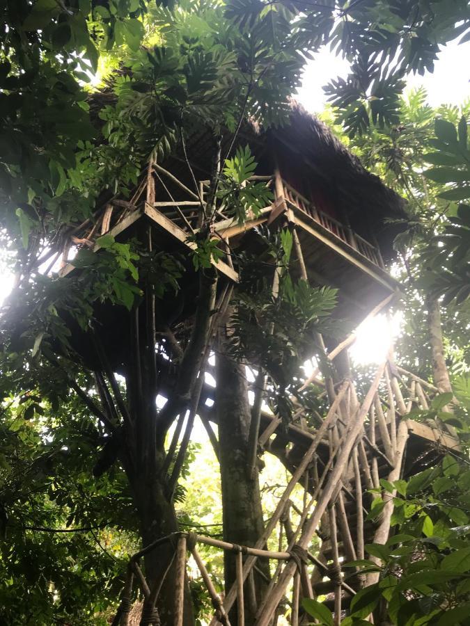 Resort Dominican Tree House Village 2*