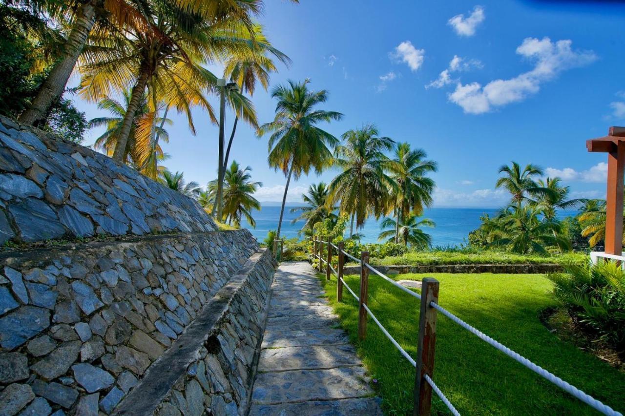Vista Mare Amazing Views!! Apartment Samana