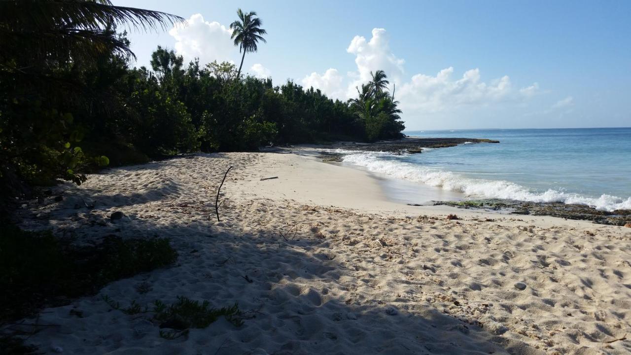 Palma Real * Bayahibe