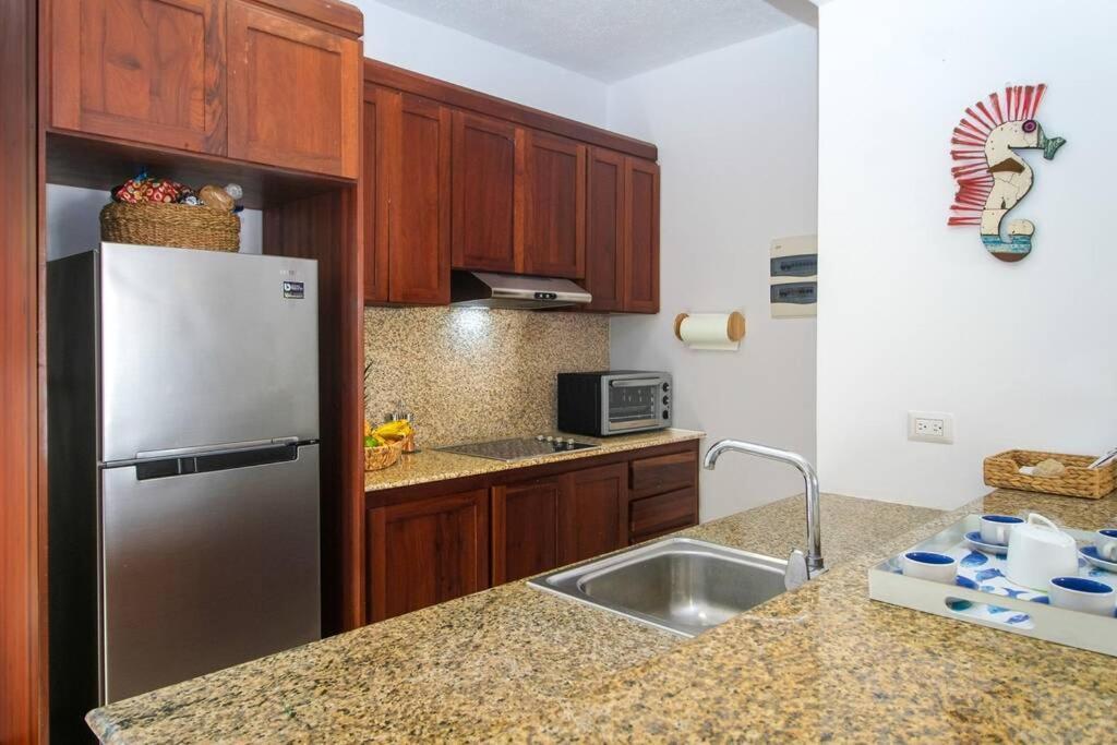 Palmeraie Terrenas Apartment