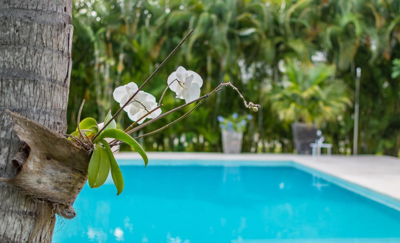 Unbelievable With Pool - Perfect Family Vacay