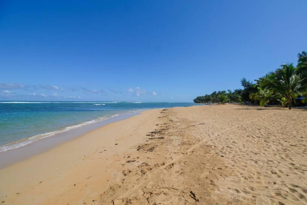 Palmeraie Terrenas * Las Terrenas