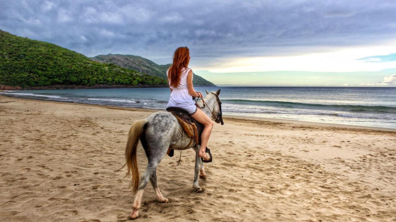 Dominican Tree House Village Resort