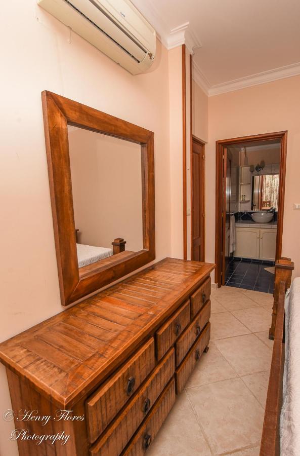 Palma Real Apartment *