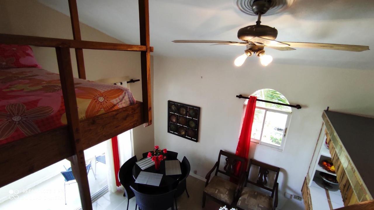 Private Study Punta Cana