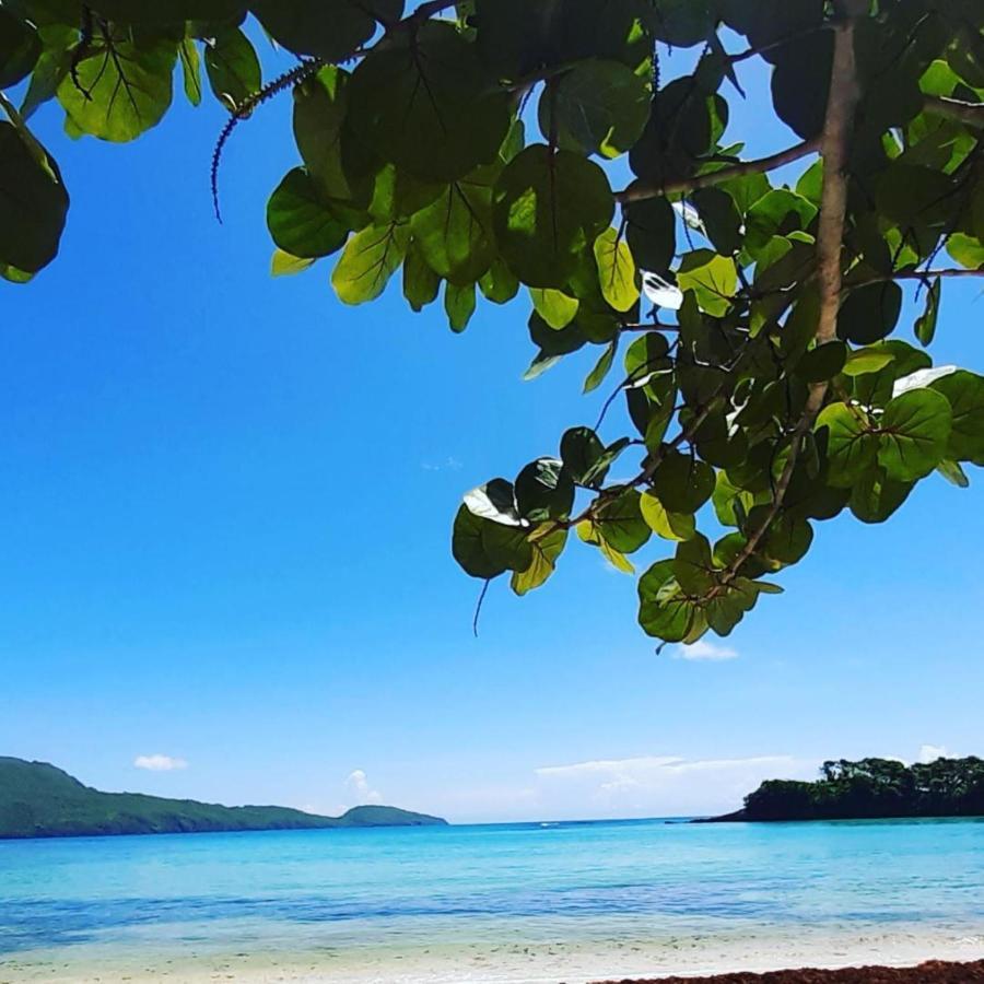 Labellaventura Las Galeras
