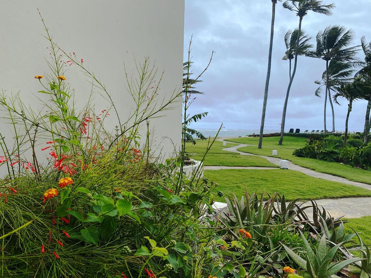 Aparthotel Beachfront At Nanny Estate C-5