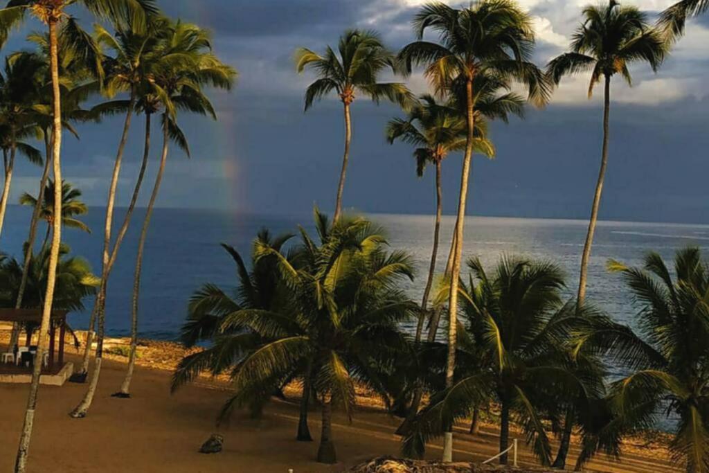 Modern, Welcoming Studio, Ocean View In *