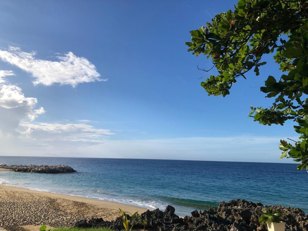 Comfortable In Caribbean Paradise Apartment Sosua