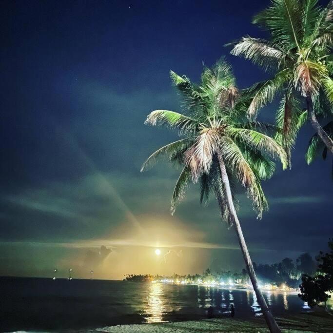 Terrenas Beachfront 2 Bedrooms With Pool