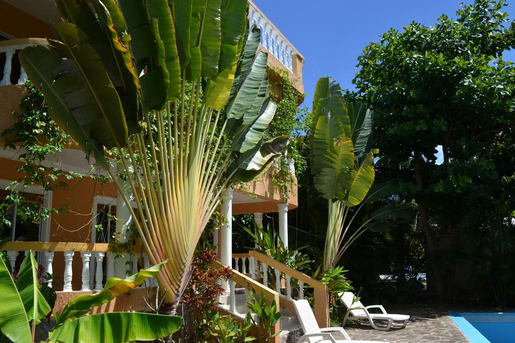 Villa With Private Pool, Tropical Garden, Ocean View, Secure Residence