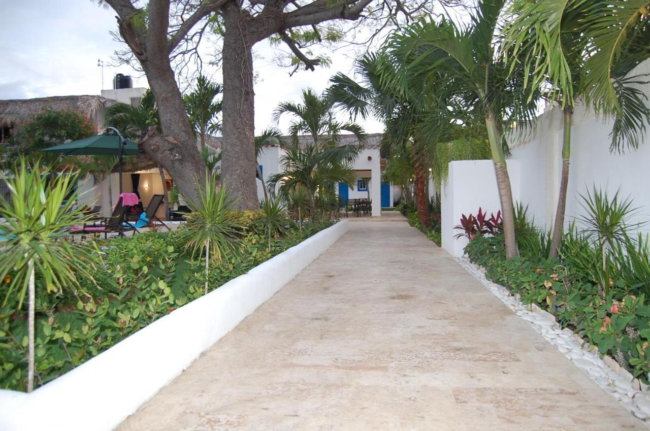 Nuovo Playa Catalina Hotel La Romana