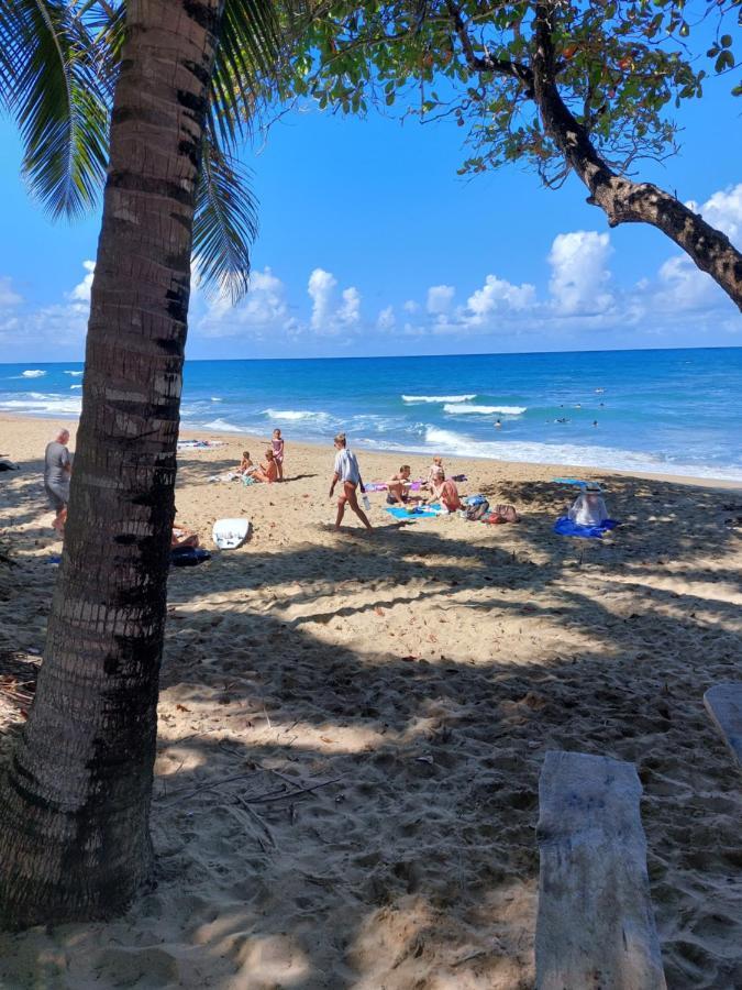 Maravilla Eco Boutique Surf Encuentro, Kite, By Aa Crypto Group Cabarete