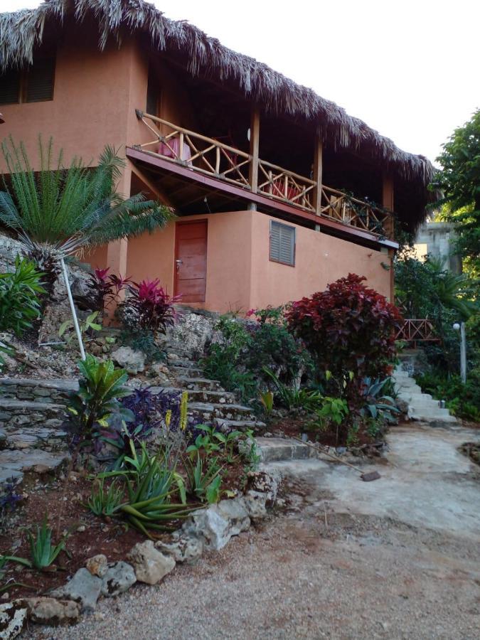 La Casa Del Arbol Apartment *