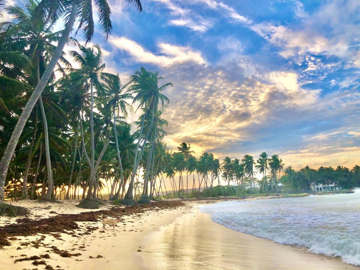 Baoba Breeze Bed & Breakfast- Beachfront Paradise Bed & Breakfast