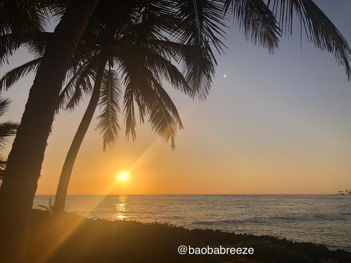 Baoba Breeze Bed & Breakfast- Beachfront Paradise Bed & Breakfast Cabrera
