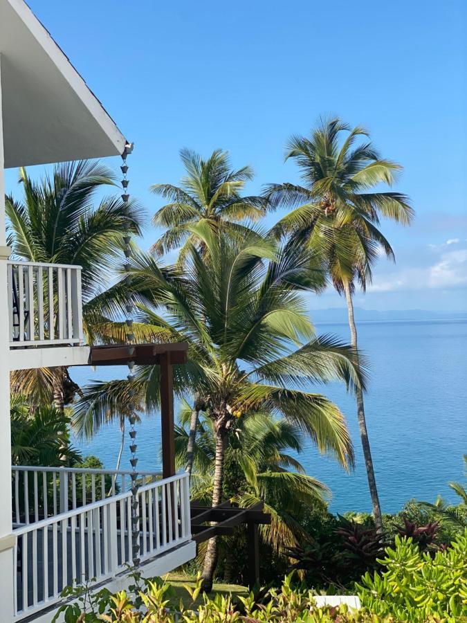 Vista Mare Amazing Views!! Apartment Samana