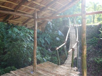 Hotel Jurassic Park