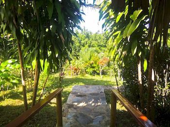Hotel Jurassic Park Las Terrenas