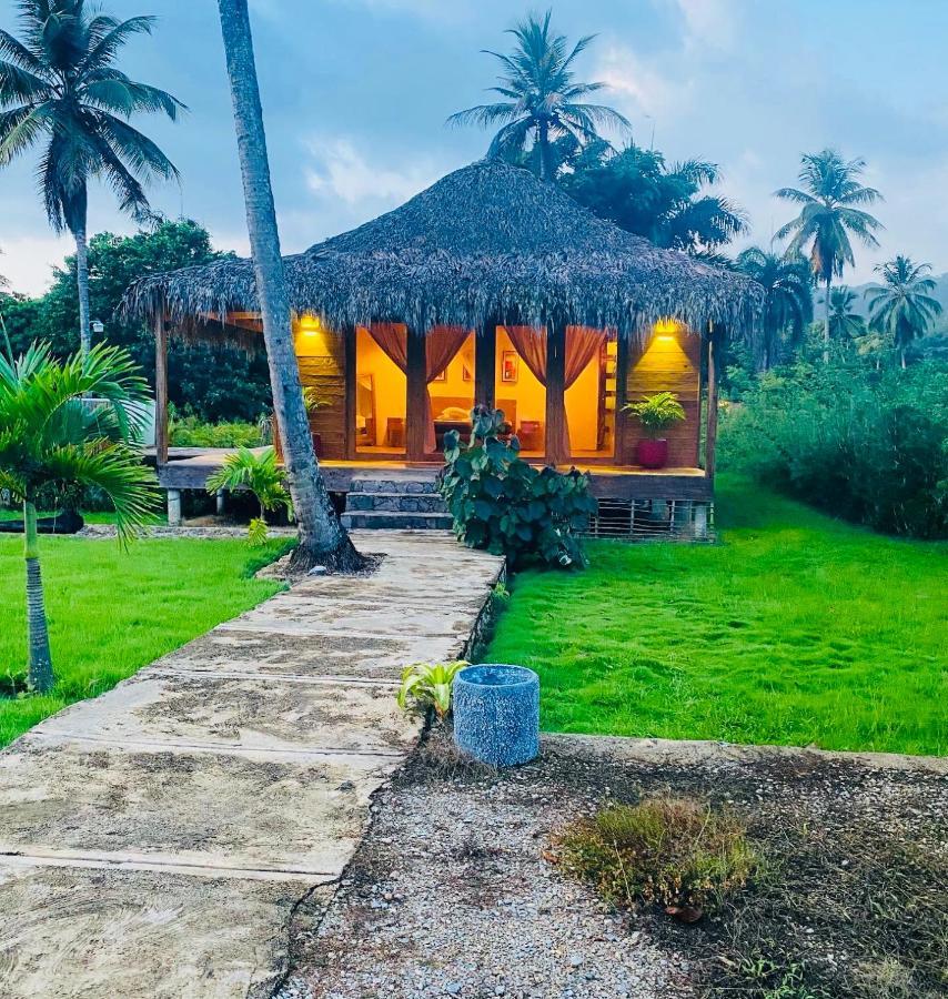 Palmeras Del Valle Holiday home Samana